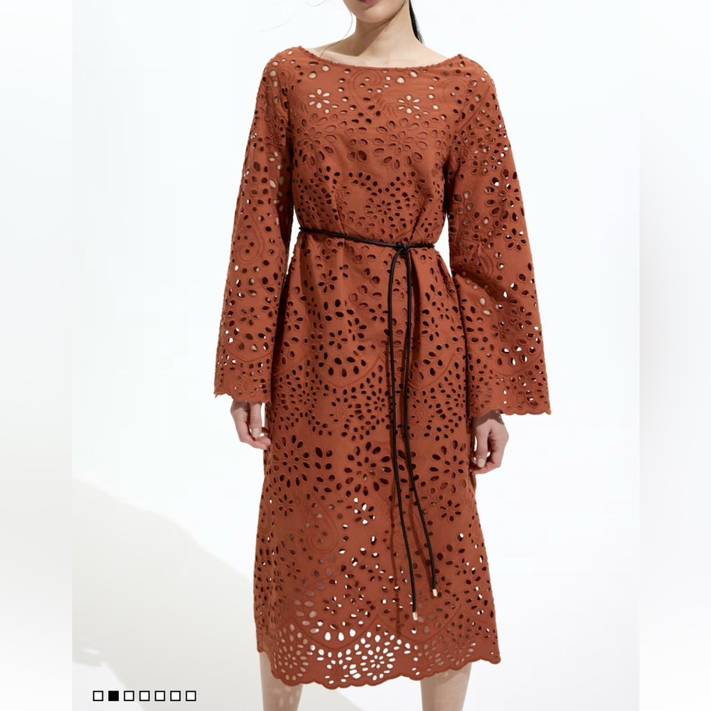 H&M Brown Long Sleeve Eyelet Dress - Picture 2 of 10